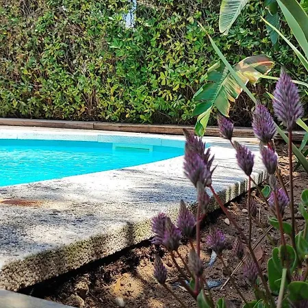 Con Piscina A 200m Del Mar Vil·la